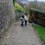 P1010522 (1004x1280)