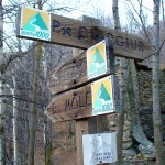 P1010701 (1280x1280)