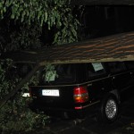 Macchina sotto albero