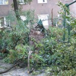 Panchina in Nowa Huta