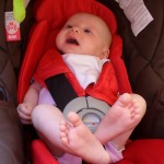 P1030430 (1082x1280)