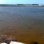 La salina, servita dall'acqua della foto precedente
